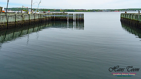 Halifax Waterfront Stroll 115