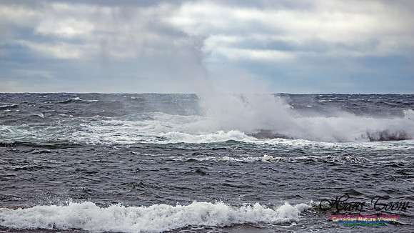 November Gale 3 109
