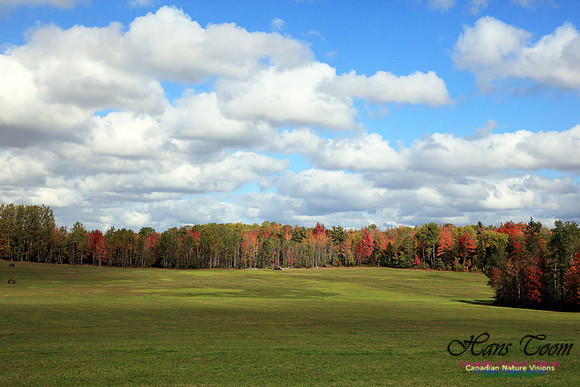 Shubenacadie Valley