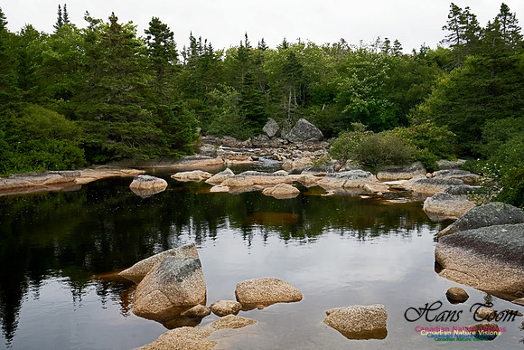West Pennant Creek 101