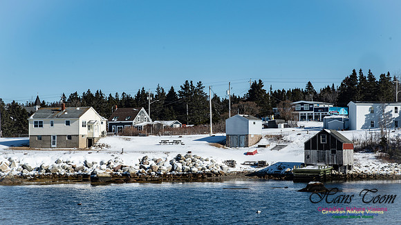 Prospect Bay Loop 116