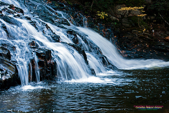 Butchers Falls