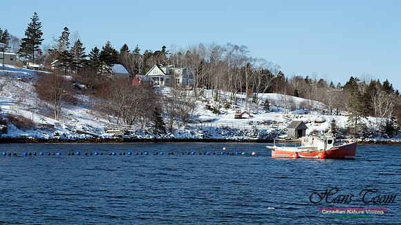 Prospect Bay Loop 130