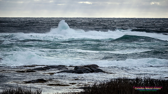 November Gale 3 121