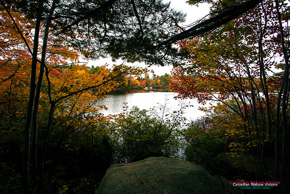 Sir Sanford Fleming Park
