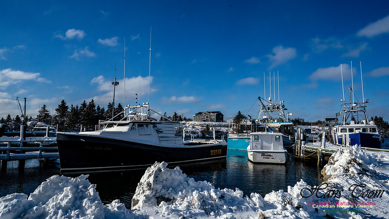 Nova Scotia Winter 310