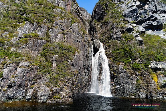 Western Brook Pond 118