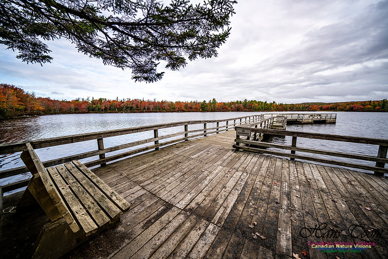 More Early Fall Photos in Nova Scotia 219