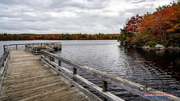 More Early Fall Photos in Nova Scotia 215