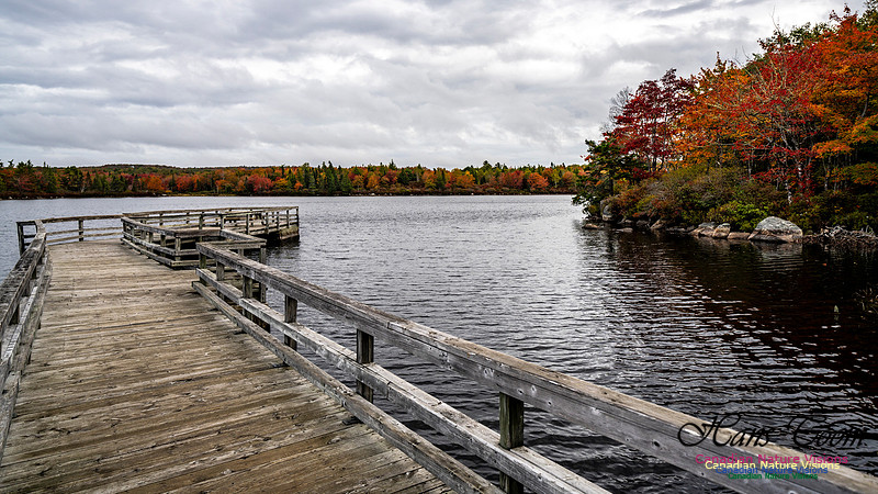 More Early Fall Photos in Nova Scotia 215