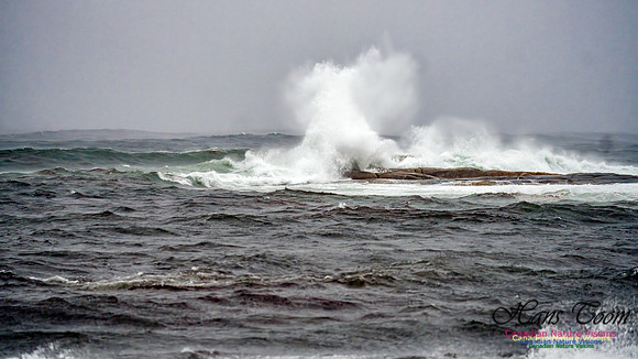 Nova Scotia Gale 2024-09-07 135