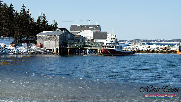 Prospect Bay Loop 121