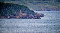 Baccalieu Coastal Drive