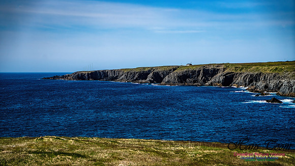 Cape Race 129