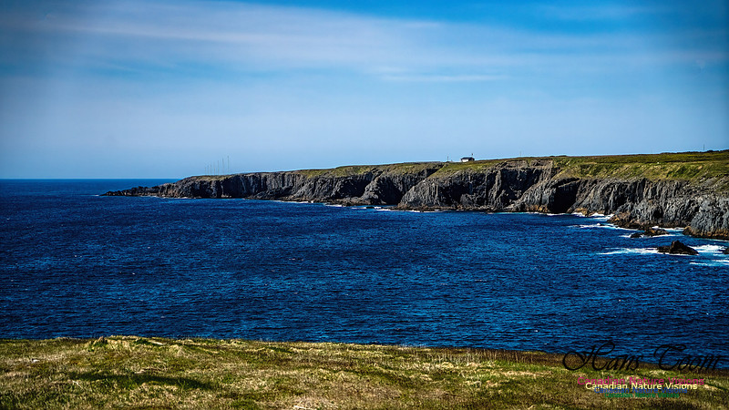 Cape Race 129