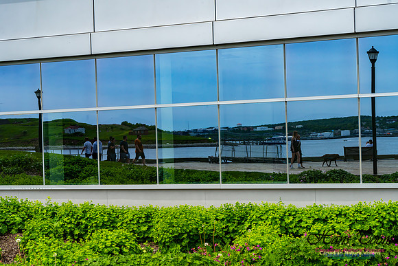 Halifax Waterfront Stroll 126