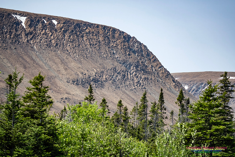 Table Mountains 108