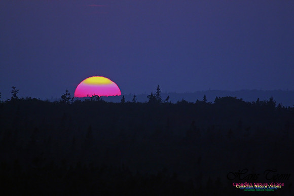 SunsetOverBarrens1