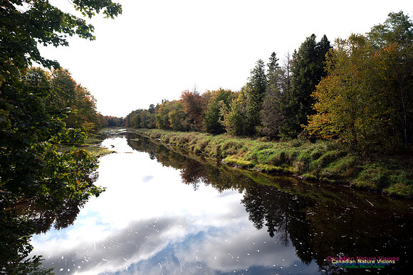 First Fall Photos Nova Scotia 112