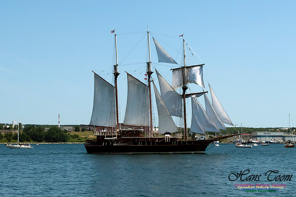 TallShips 2012