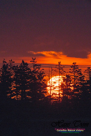 PortugueseCoveSunrise7