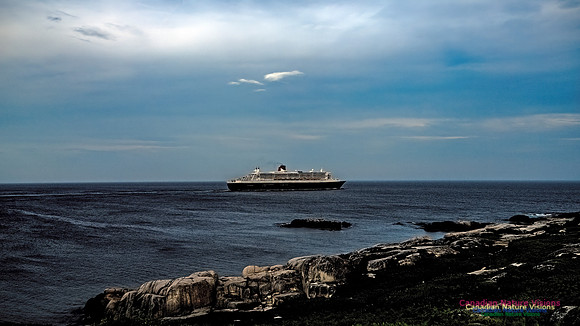 Queen Mary 2 103