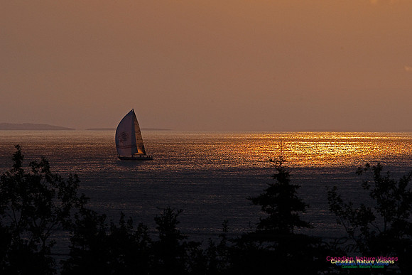 Sailboat at Sunrise