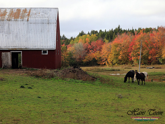 Shubenacadie Valley