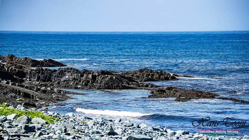 Cape Race 109
