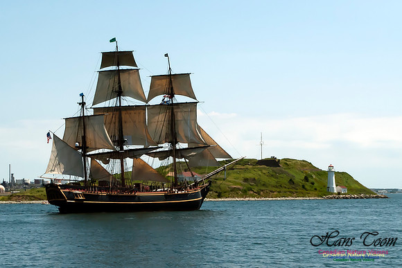 TallShips 2012