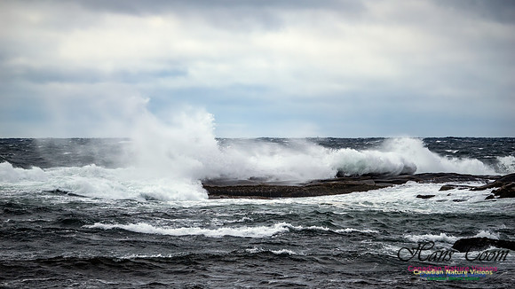 November Gale 3 124