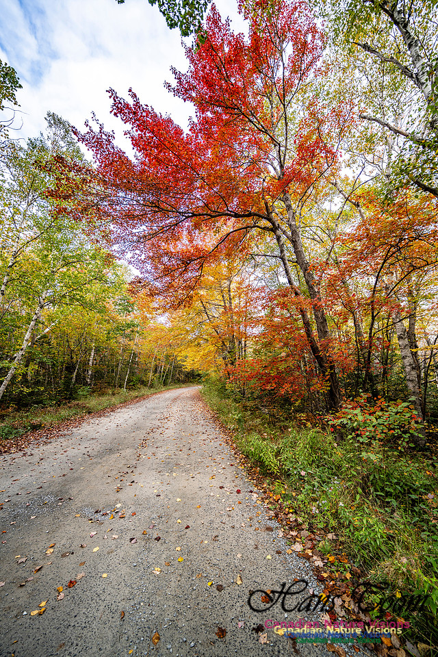 More Early Fall Photos in Nova Scotia 207