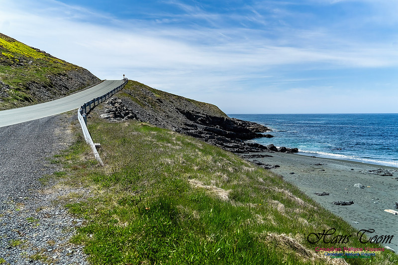 Cape Race 141
