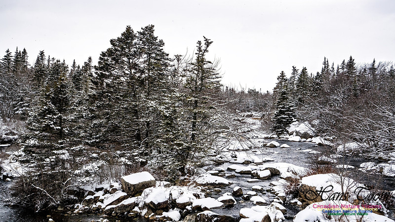 Some Winter Scenes 127