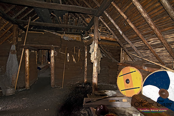 L'Anse aux Meadows 110