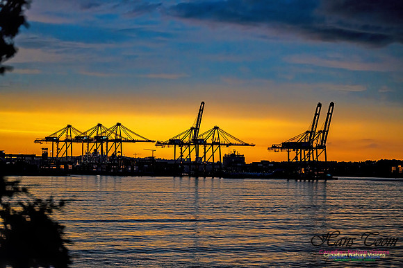 Harbour Cranes at Sunset 101