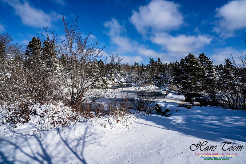 Nova Scotia Winter 347