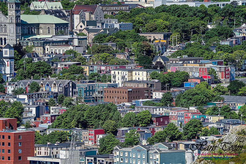 St. John's, Newfoundland 103