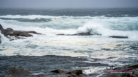 Nova Scotia Gale 2024-09-07 160