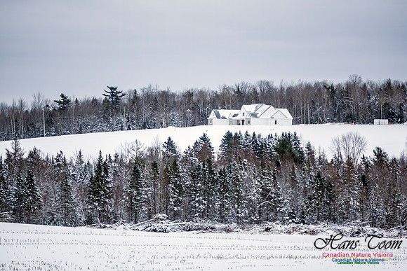 December Snow Scenes in Nova Scotia 124
