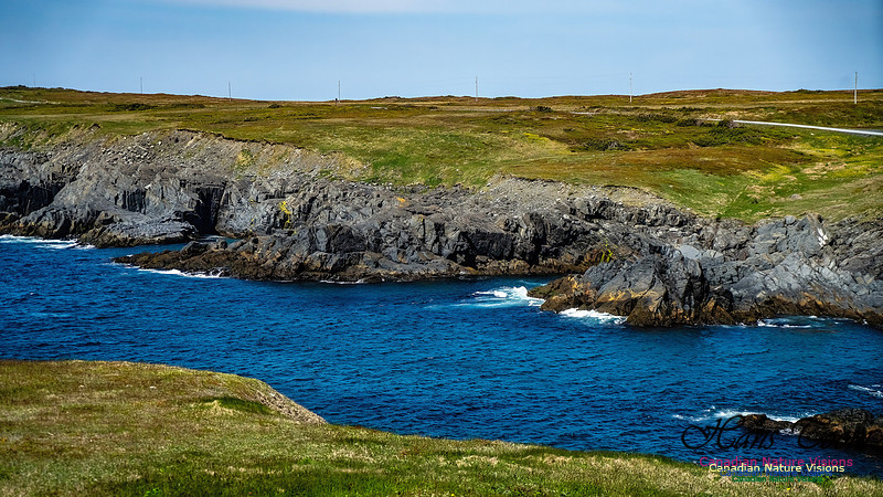 Cape Race 127