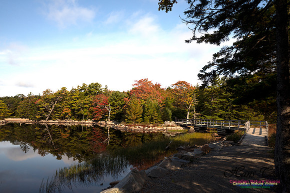 First Fall Photos Nova Scotia 120