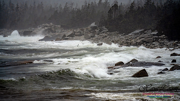 Nova Scotia Gale 2024-09-07 133