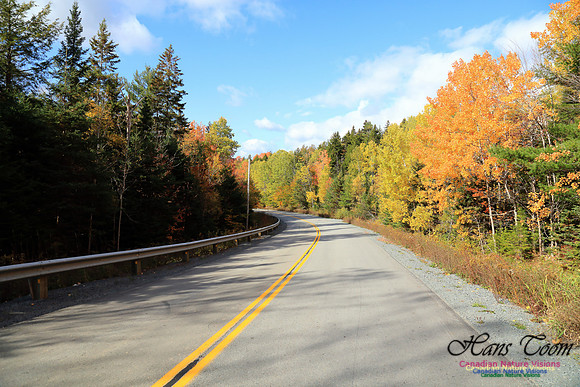 FallColours2016-1025