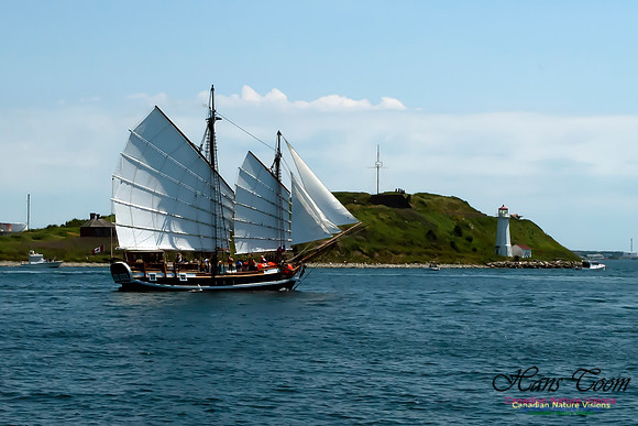 TallShips 2012