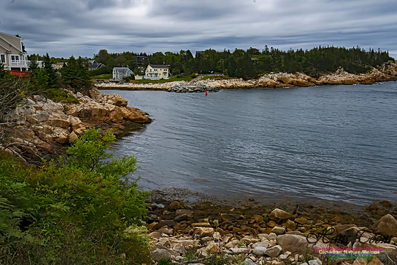 Herring Cove 100