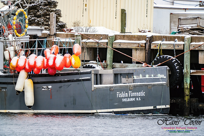Harbour Traffic 108