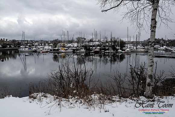 April Snow In Nova Scotia 102