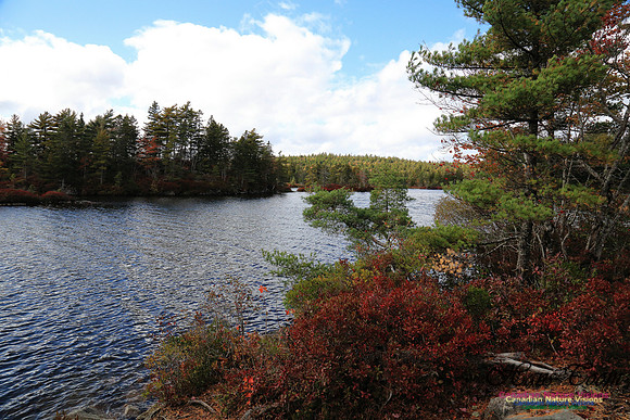 FallColours2016-32