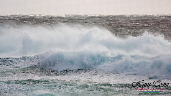 February 17 Gale 136
